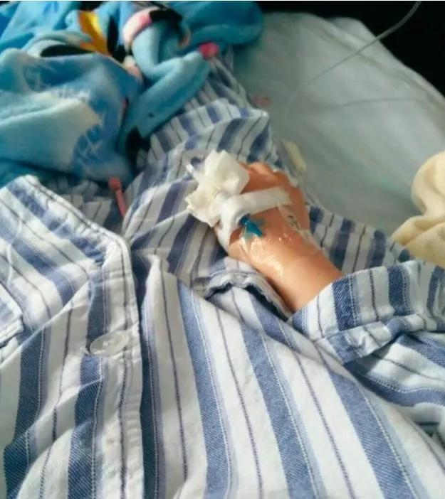 城南花已开愿君永常在,城南花已开背后的故事沙雕