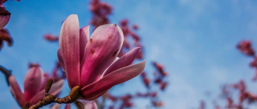 顽固鼻炎彻底根治,怎样解决顽固的鼻炎