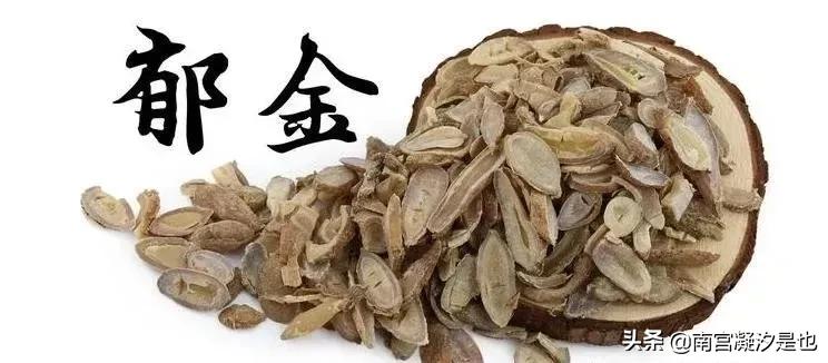 兰陵美酒郁金香的郁金,兰陵美酒郁金香郁金什么意思