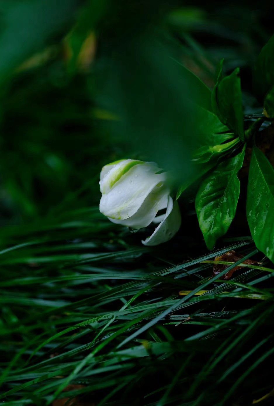 写给幸福的经典散文,幸福其实很简单随笔散文