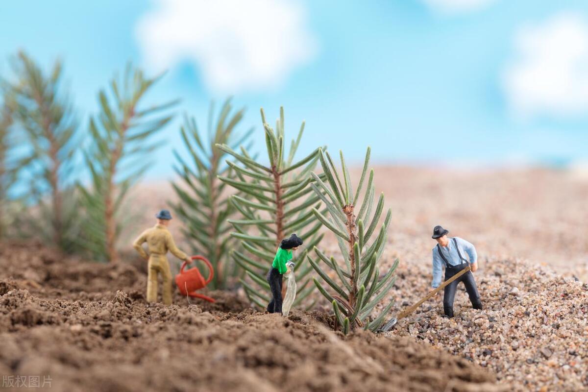 防沙治沙税费优惠,国家防沙治沙补助标准