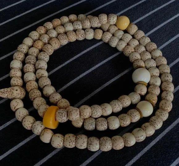 星月菩提子,星月菩提子怎么穿绳