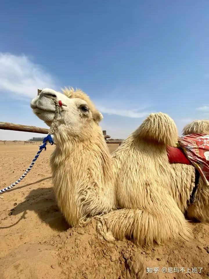 适合5.1假期的旅游景点,5.1小长假旅游城市排名