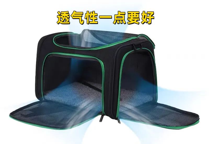 害死猫的网红饰品,盘点那些被人害死的网红猫