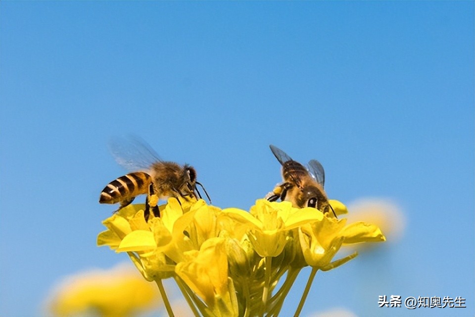 让人惊艳的春天古诗词,诗词里的唯美意境春天