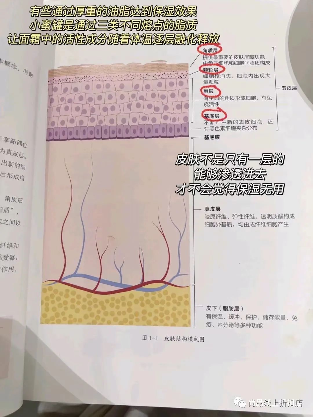 兰蔻大促双支装礼盒菁纯赠品,lancome兰蔻六件套白盒子