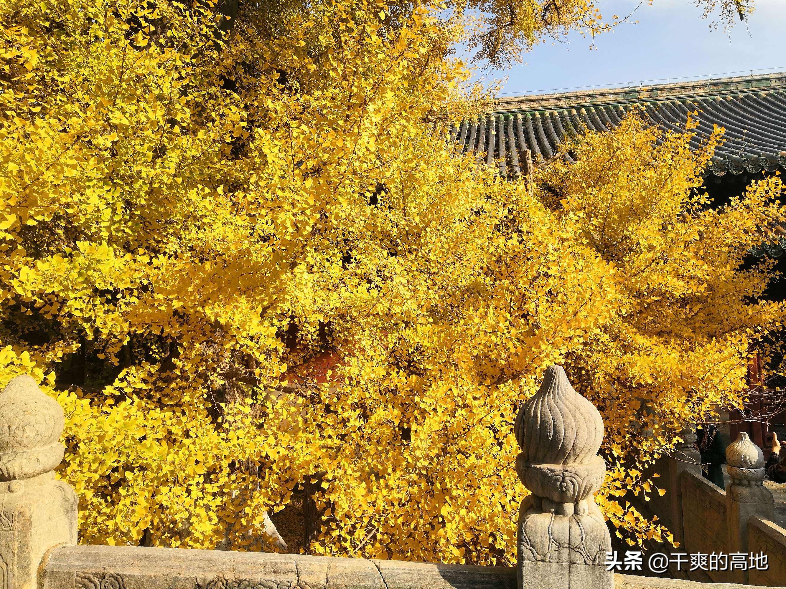 李朝全作家,李朝全演讲视频