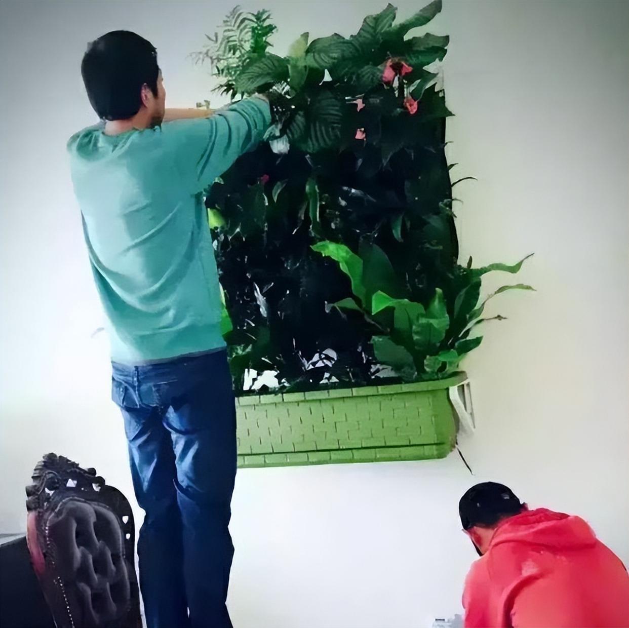 露天小阳台打造小花园效果图,卧室开放式小阳台怎么打造花园