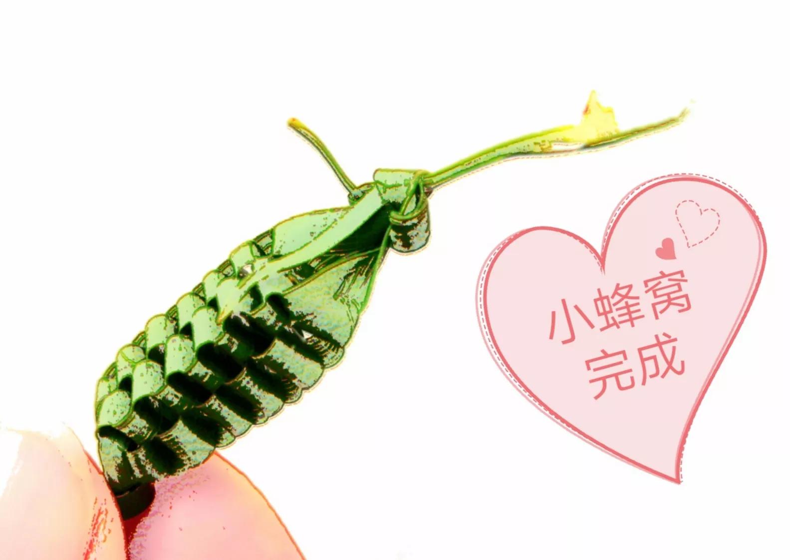 这样的小蜂窝，是不是也唤醒了你的童年记忆？