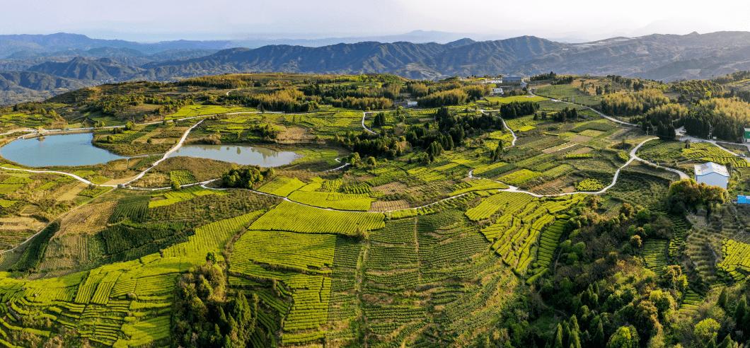 河南省卫辉市,河南卫辉是哪