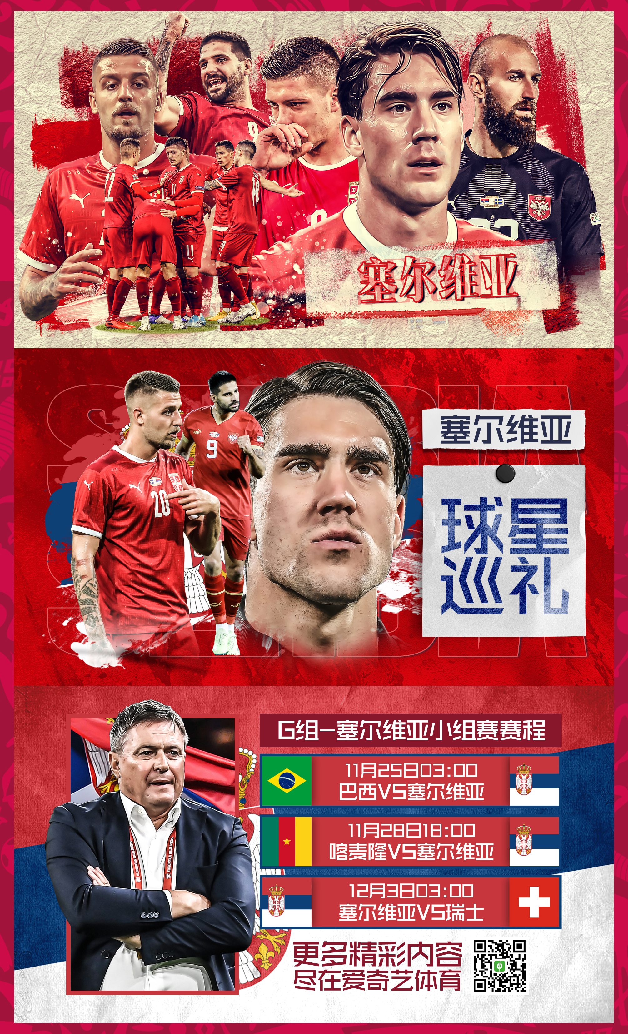 塞尔维亚白鹰,世界杯巡礼阿尔巴尼亚