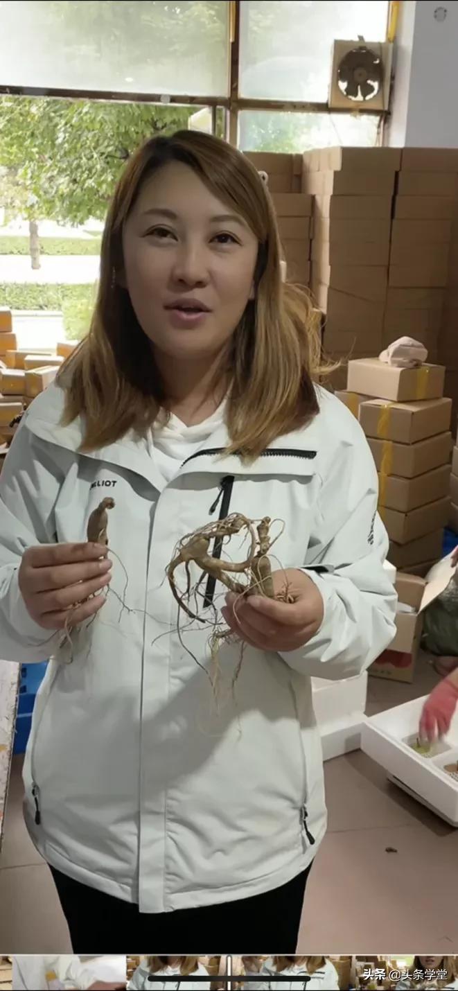 头条学堂免费学习,头条学堂讲师预备培训班