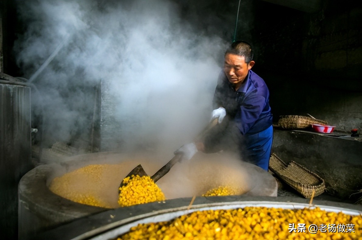 粮食酿酒多少斤出一斤白酒,100斤粮食出多少酒头