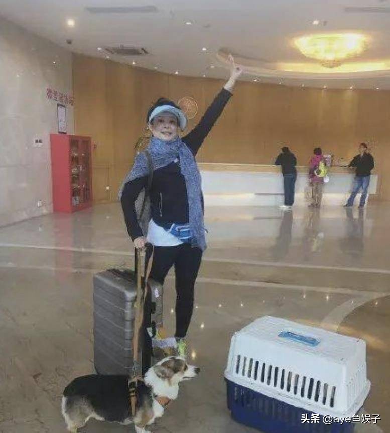 袁立郭京飞,郭京飞和袁立