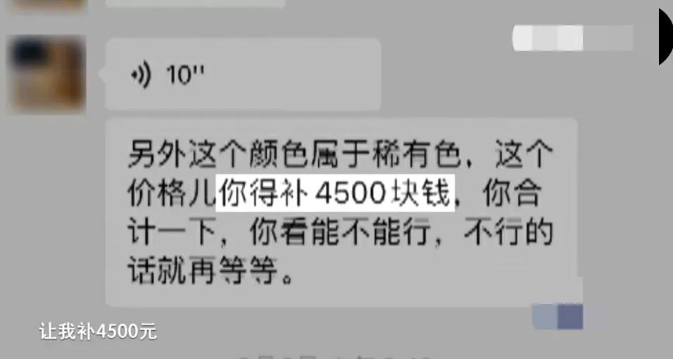 女子花十万元网购,女子花2300元买猫咪