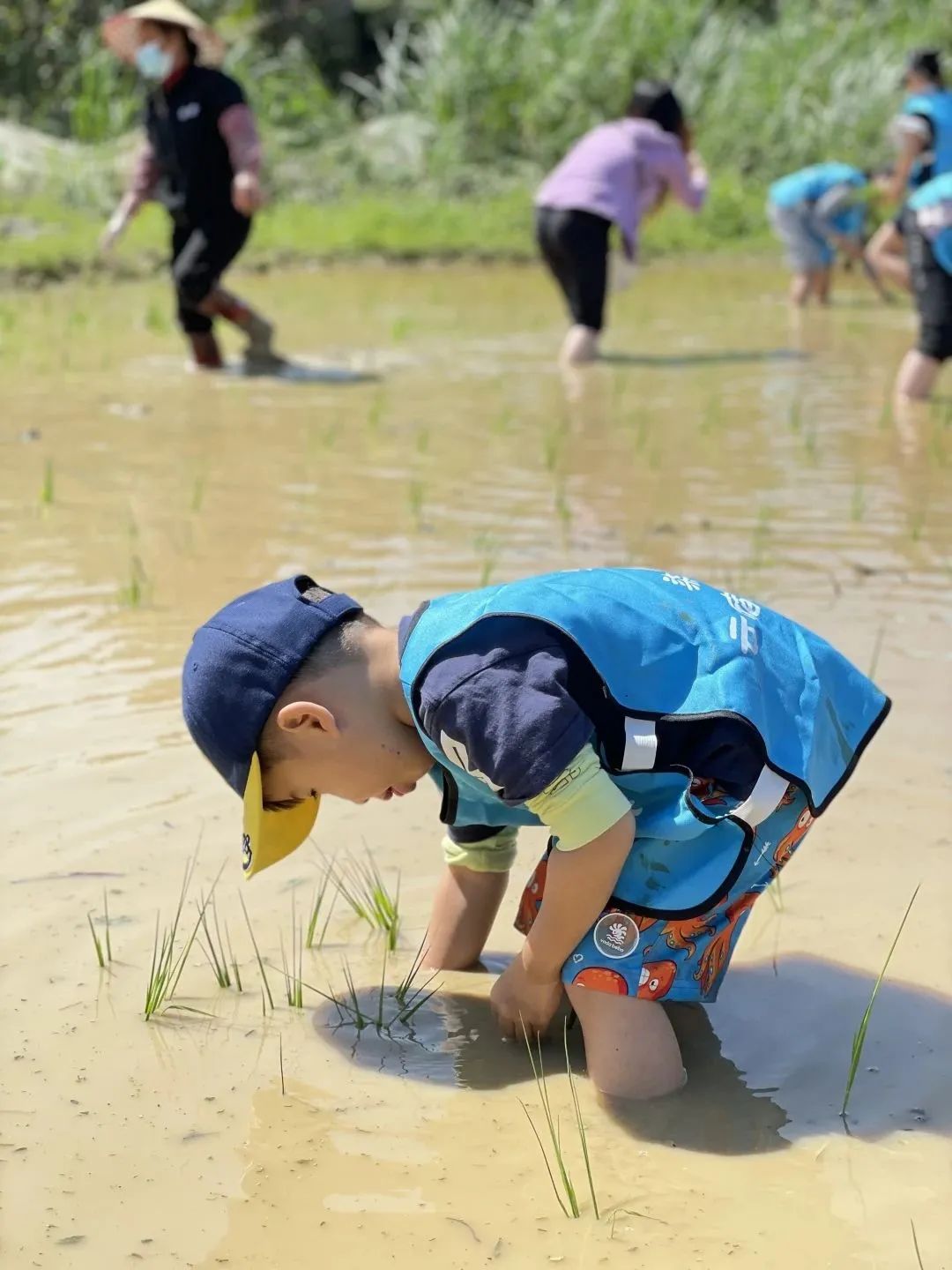 增城网红民宿别墅,增城最美花园亲子民宿