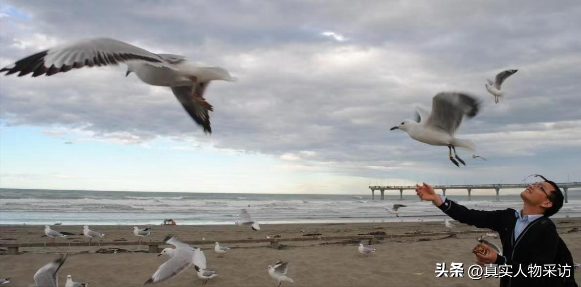 新西兰移民顾问就业前景,移民留学顾问待遇