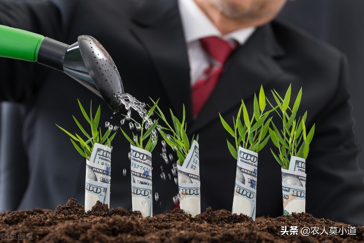 为什么现在年轻人都去农村创业,农村创业最难的方法是什么