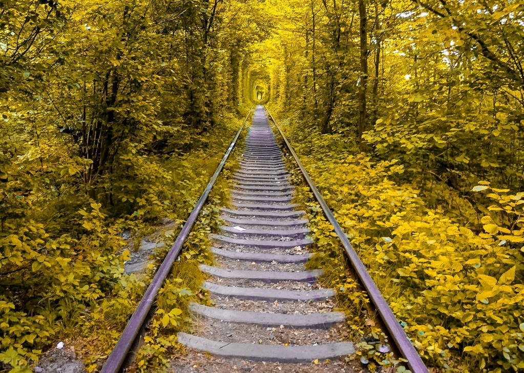 世界上最美的十个地方,全世界公认十大最美的十个城市