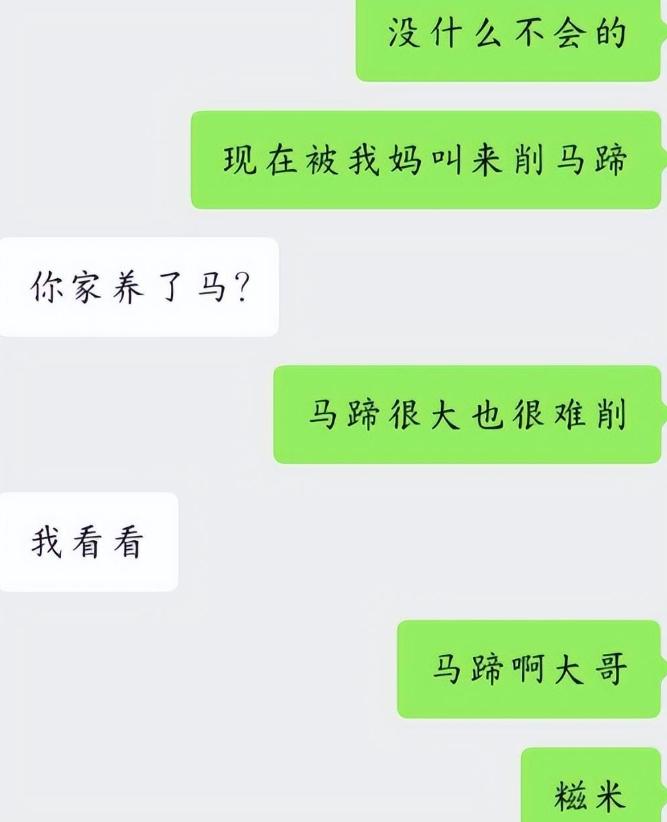 和大学生聊天能有多离谱？主打一个“异频共振”，看完真笑不活了
