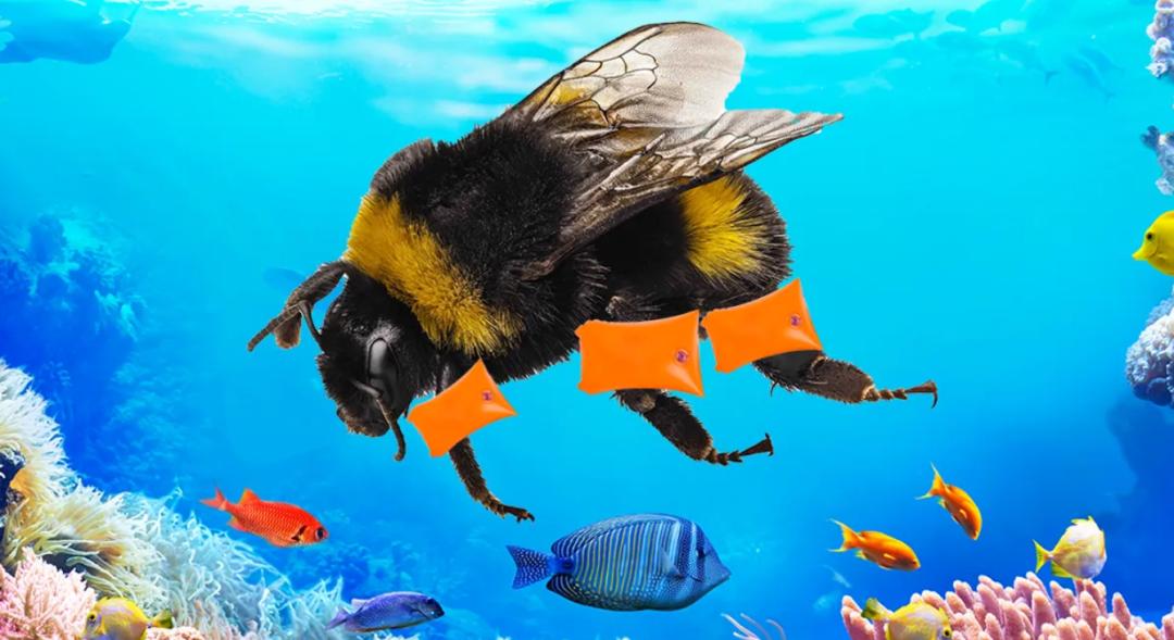 2022年3月科技新闻,2022年中国科技新闻事件