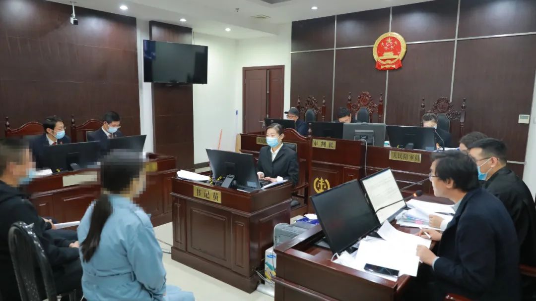 最高检从严惩治影响安全感的犯罪,最高检发布检察监督典型案例