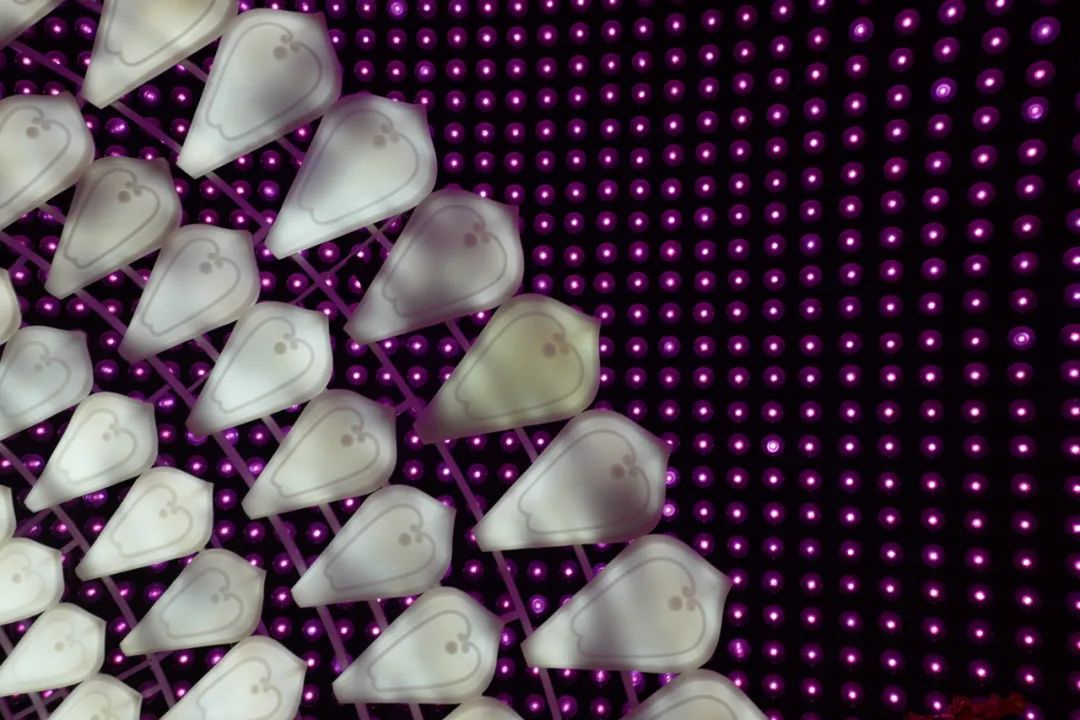 南京最大舍利塔,南京一座低调的古寺