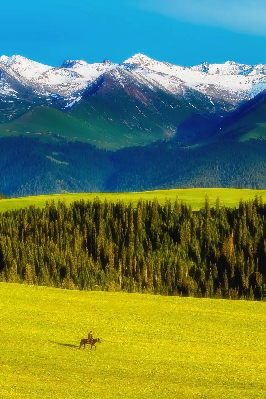 那拉提空中草原雪景照片,大草原的壮丽雪景图