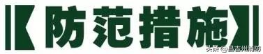 昌吉州消防最新消息,昌吉消防安全视频