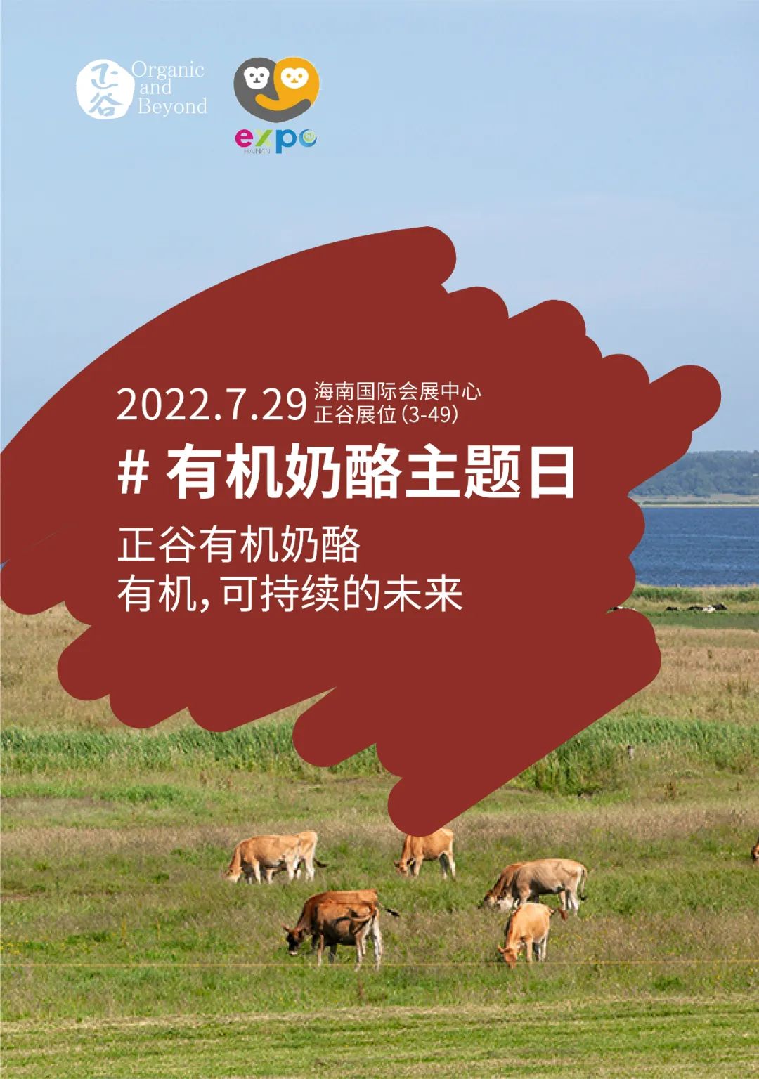 正谷ouroland干酪怎么吃,正谷有机奶