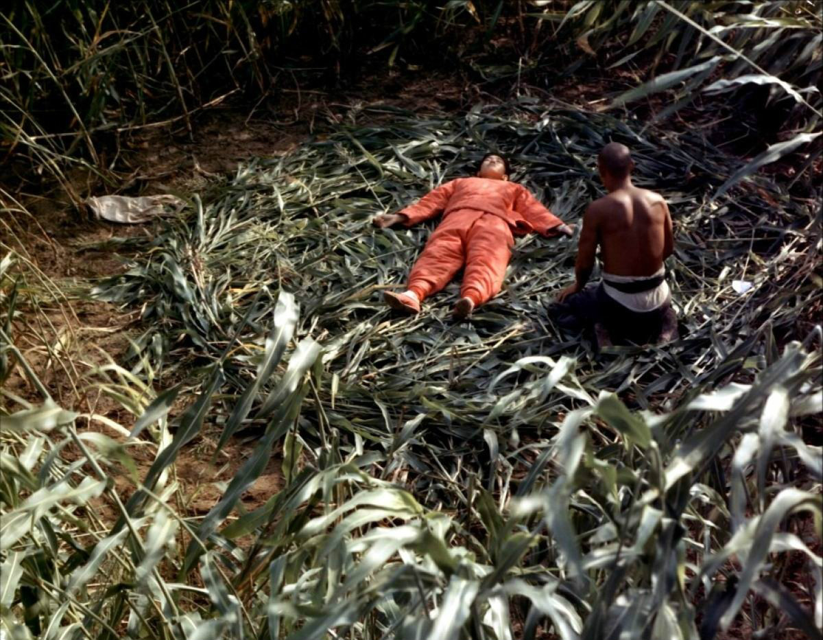 色彩和色调在电影的作用,色彩在电影中的作用及意义