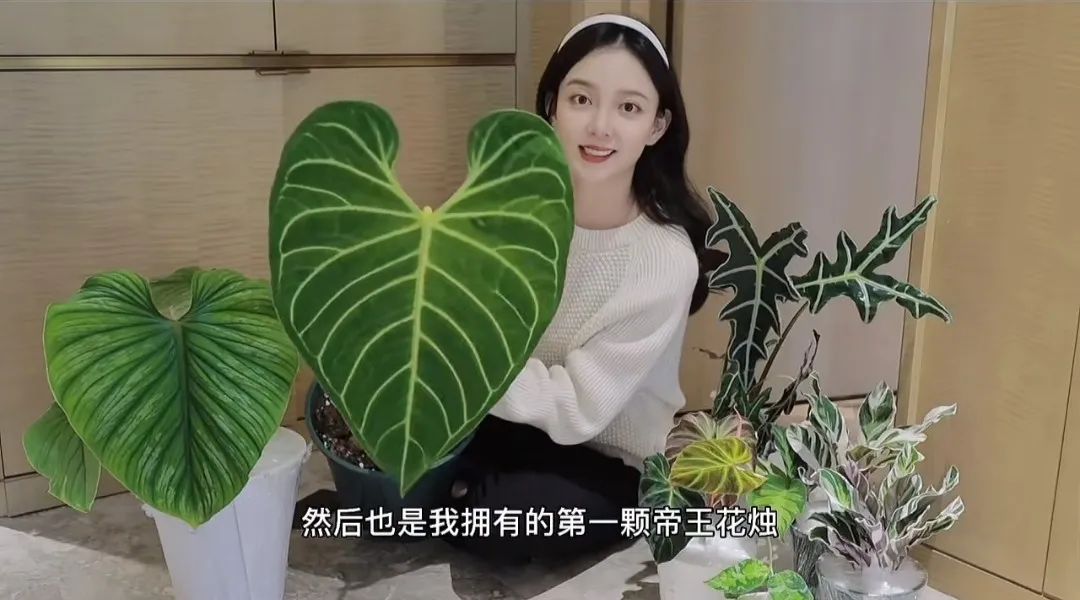 娴鍒瑁呬慨椋庢牸,娴瀹ゅ唴瑁呬慨