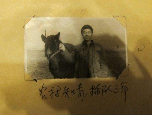 葛优夫妇为什么选择丁克,丁克和葛优是什么关系