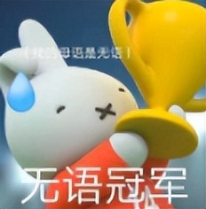 文淇个人工作室,文淇粉丝数量多少