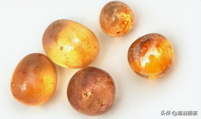 高僧舍利子是怎么回事,高僧舍利子怎么形成的科学解释