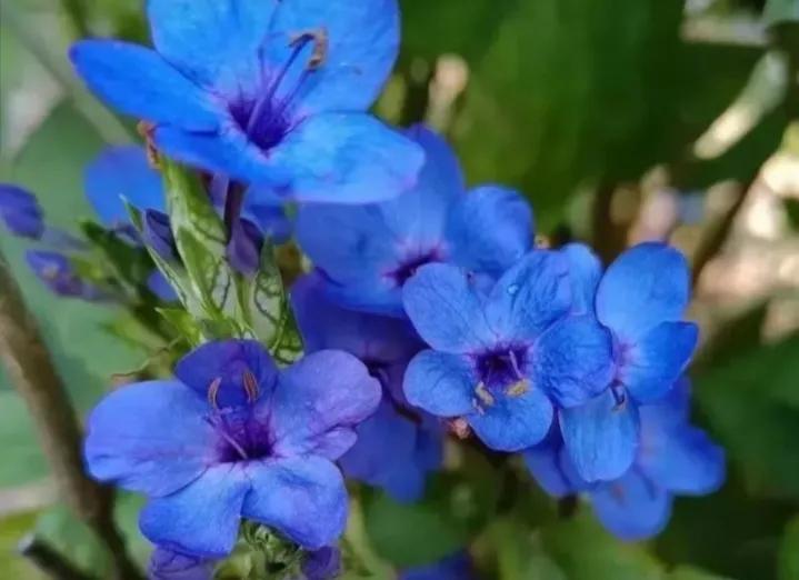 成功人士不轻易分享的自学秘诀,自学能力决定人生的高度和方法