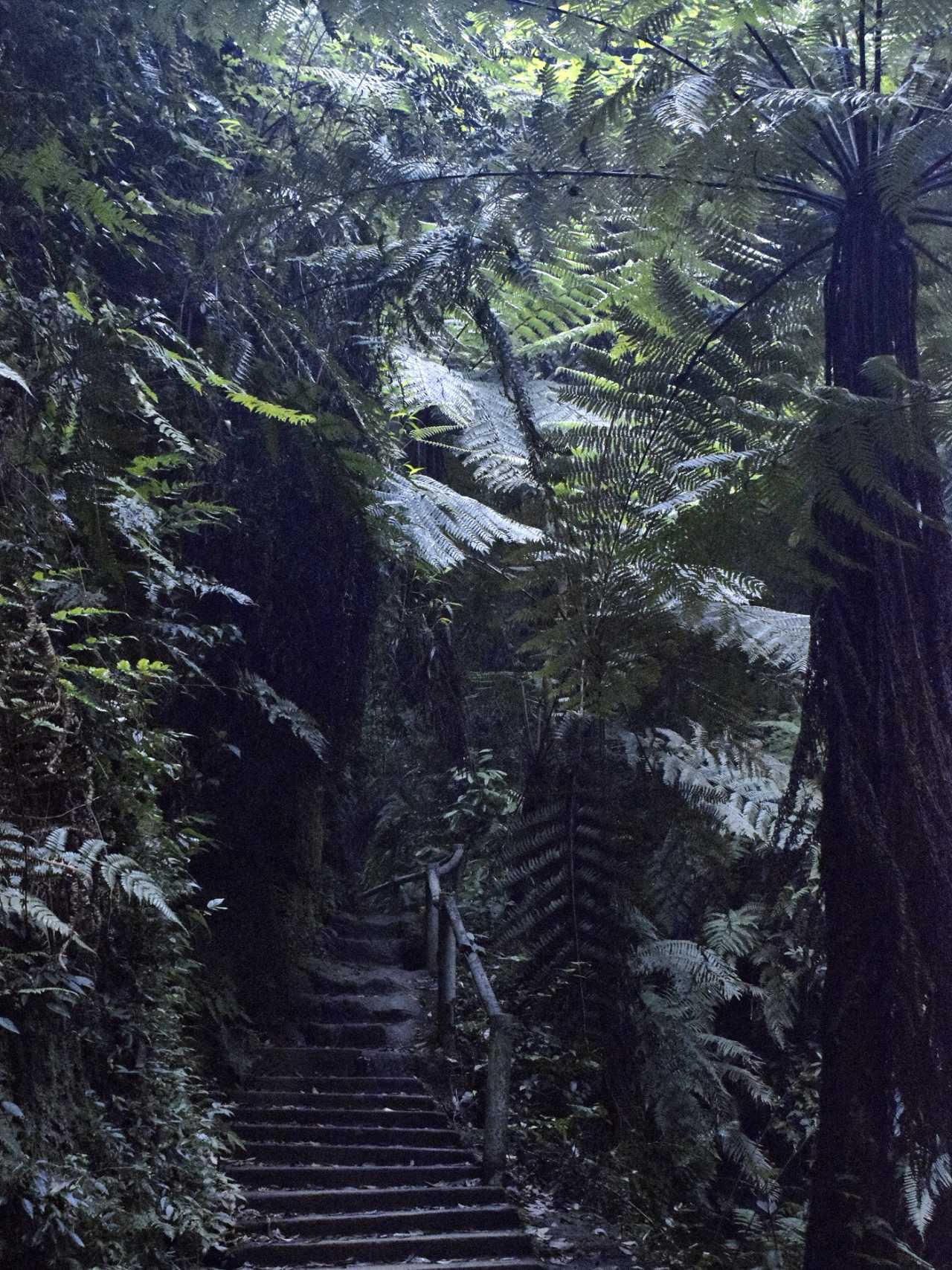 乐山异国风情打卡新去处,乐山游玩攻略及人文风情