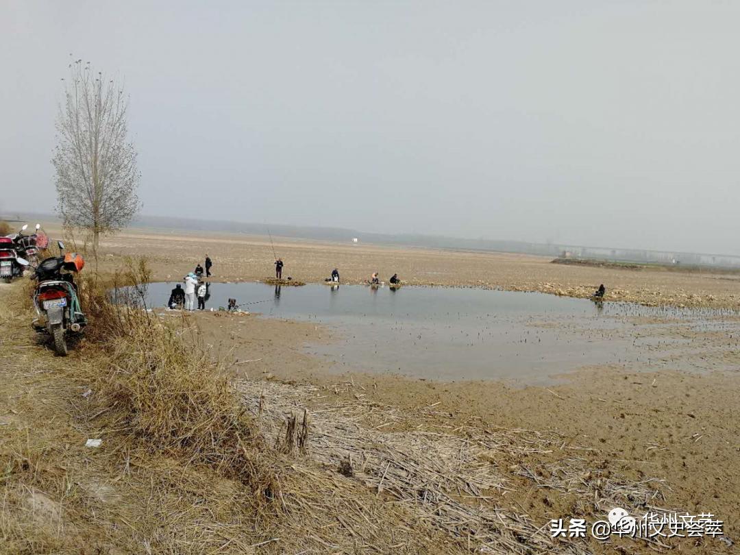 春天的渭河滩,冬天的渭河风景