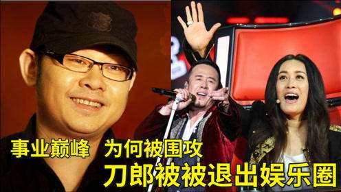 娱乐圈招人嫌的4位明星，谢娜败光路人缘，黄子韬华丽逆袭