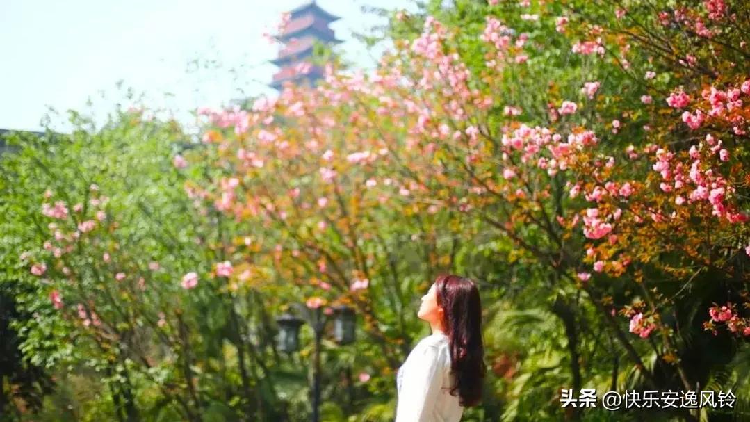 同事脾气古怪怎么解决,同事性格怪异难沟通