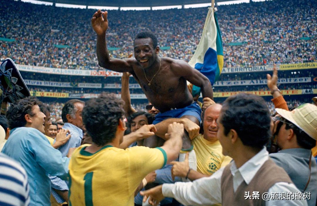 橡树|贝利，我们的足球的“暗号”