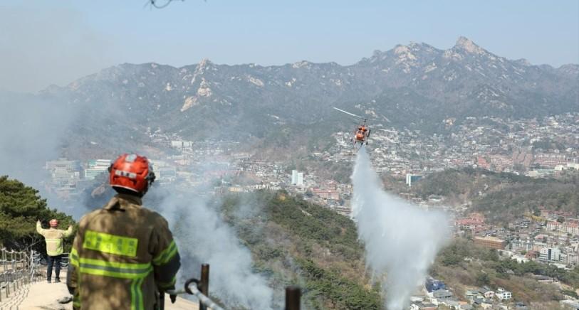 韩国首尔景福宫和青瓦台,韩国森林大火最新