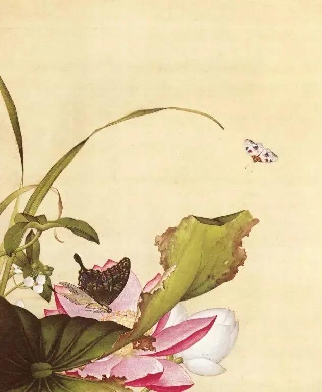 清代九大名家花鸟册页欣赏,清朝九大名家花鸟山水图