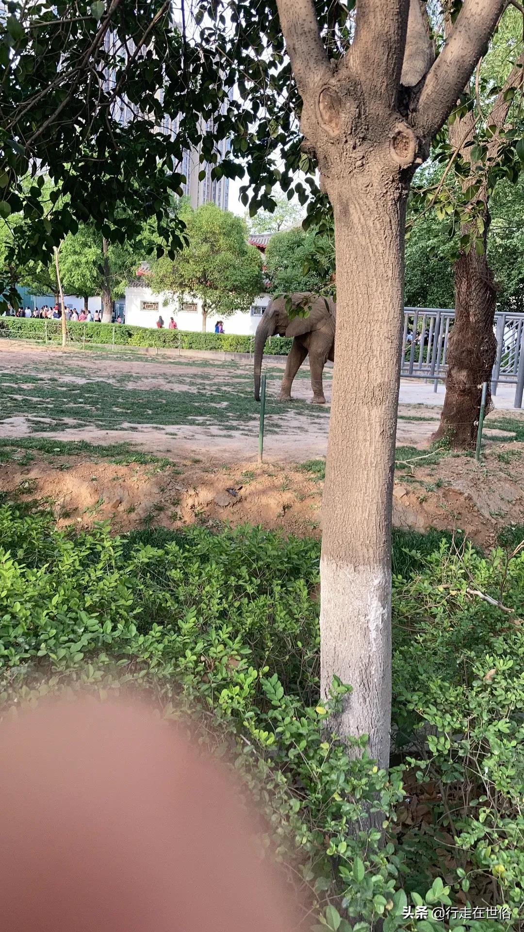 瞬间戒烟的危害,想戒烟了拿什么能代替