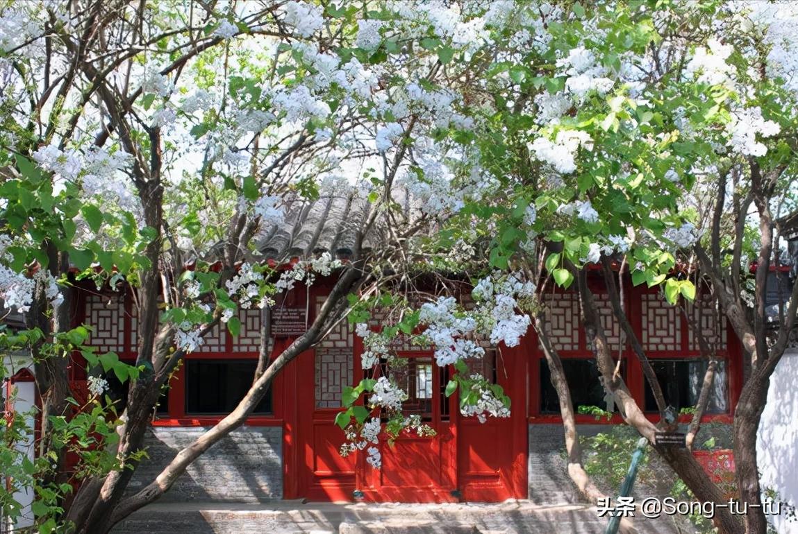 北京51家免费博物馆全攻略,北京18家一级博物馆