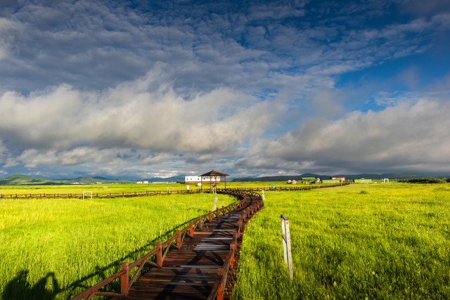 坝上草原真的适合避暑吗,坝上草原旅游详细攻略
