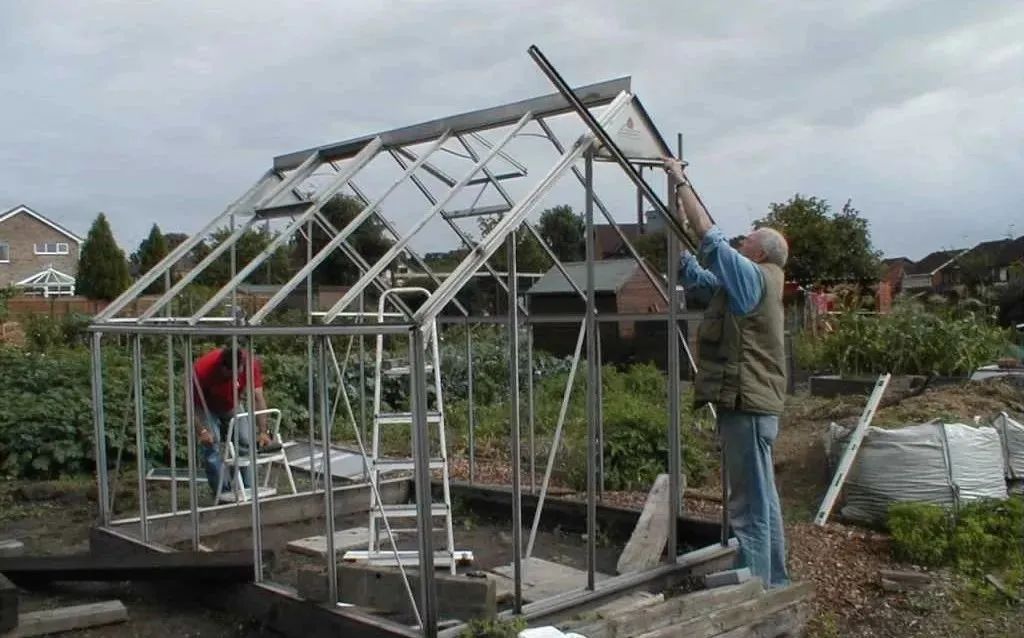 在英国自己种菜什么体验,在英国种菜小技巧有哪些