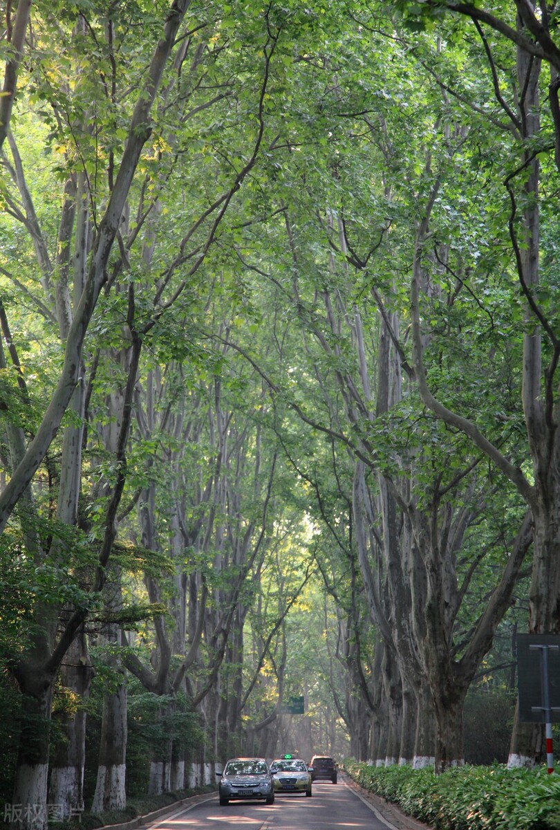 退伍军人创业的真实问题,退伍军人创业失败再次选择创业