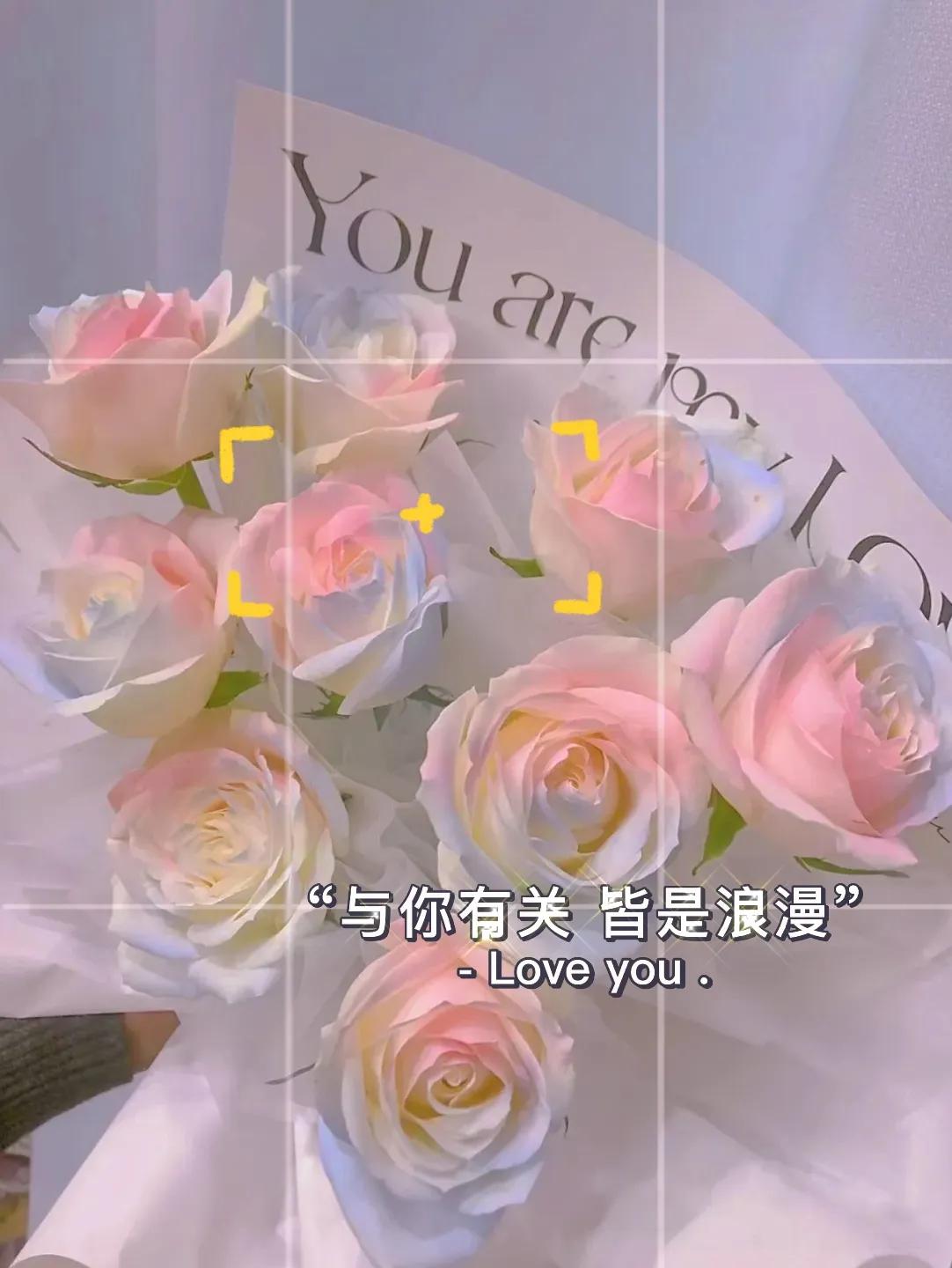 520浪漫文案，惊艳朋友圈唯美小众文案，句句不提爱句句不离爱。