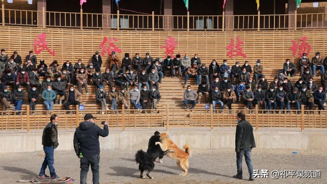 新疆叶城旅行攻略最新版,新疆冬季旅游逐步升温